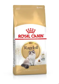 غذا خشک گربه رویال کنین Royal Canin Ragdoll Adult