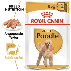 غذا مرطوب سگ بزرگسال  پودل در سس رویال کنین آلمان Royal Canin Poodle Adult in Soße 12x85g