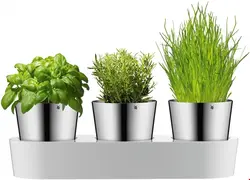 گلدان گیاه وی ام اف آلمان WMF Gourmet Kräutergarten-Set-3-teilig