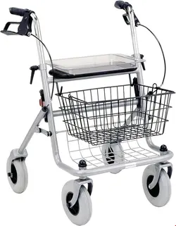 واکر ویلچر رولاتور تاشو لودویگ برترام Ludwig Bertram Russka Standard Rollator silber