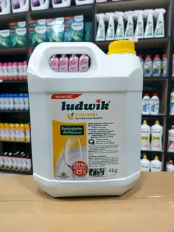 مایع ظرفشویی دستی لودویک ludwik