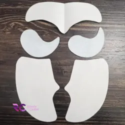 پد کلاژن ساز جذبی رجیون