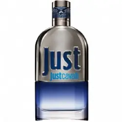 عطر ادکلن روبرتو کاوالی جاست کاوالی مردانه | Roberto Cavalli Just Cavalli Him