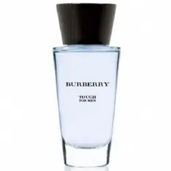 عطر ادکلن باربری تاچ مردانه |  Burberry Touch for Men