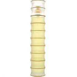 عطر ادکلن بیل بلاس آمازینگ زنانه | Bill Blass Amazing Women