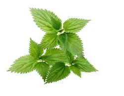 عرق گزنه 1 لیتری