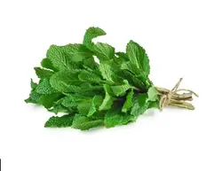 عرق نعنا معمولی 1 لیتری