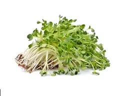 عرق یونجه 1 لیتری