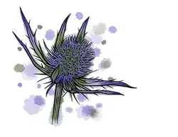 عرق بوقناق 1 لیتری