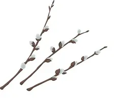 عرق بیدمشک 1 لیتری