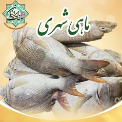 ماهی شهری