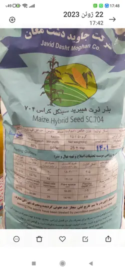بذر ذرت ۷۰۴ جاوید دشت مغان