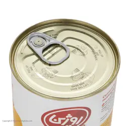 کنسرو لوبیا چیتی با قارچ روژین - 420 گرم