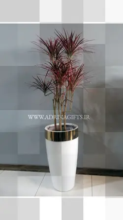 گیاه طبیعی دراسنا پرچمی با گلدان لوکس
