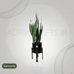 گیاه طبیعی سانسوریا مدل 122