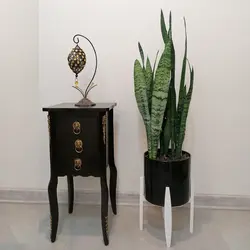 گیاه طبیعی سانسوریا مدل 122