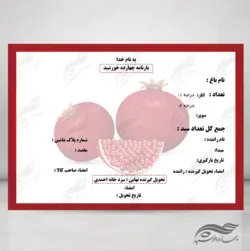 قالب بارنامه و رسید لایه باز ۲ psd