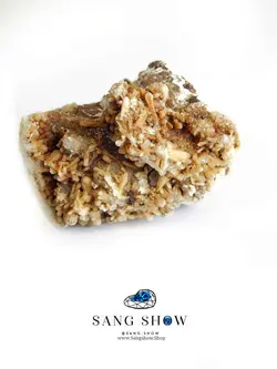 استیلبیت شاخه ای کمنظیر فلاور و نایاب با همرشدی کریستال های کوارتز S459