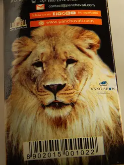 خرید عود خوشبوکننده بیک bic مدل 7 شیر آفریقایی | سنگشو