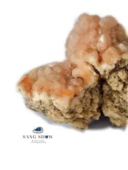 سنگ رز کوارتز خوشه ای انحصاری و اصل برزیل بر روی بستر S572