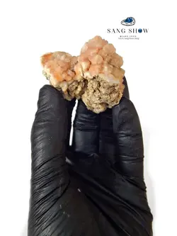 سنگ رز کوارتز خوشه ای انحصاری و اصل برزیل بر روی بستر S572