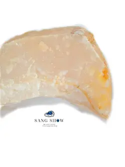 سنگ آراگونیت نارنجی دریایی اصل و معدنی نمونه کمیاب S600سنگشو