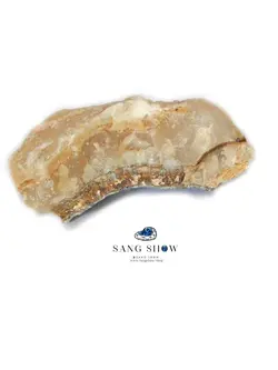 سنگ آراگونیت نارنجی دریایی نمونه انحصاری و خوشرنگ S619سنگشو