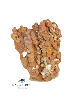 خرید سنگ راف عقیق انگوری ویژه و اصل و معدنی S613 راف | سنگشو