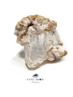 خرید سنگ سلنایت شفاف جذاب نمونه اصل و معدنی S656 راف | سنگشو