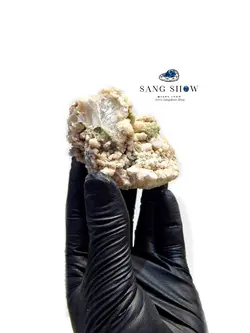 کریستال سلنایت زیبا شفاف بر روی بستر با همرشدی سلستین زیبا S691