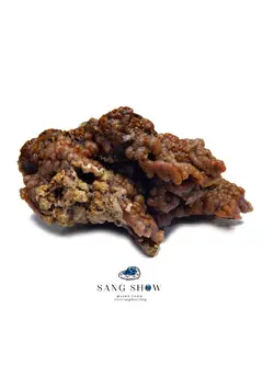 عقیق انگوری کلکسیونی نمونه زیبا و استثنایی s919 راف | سنگشو