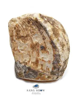 سنگ آراگونیت نارنجی کلکسیونی و اصل و معدنی S940