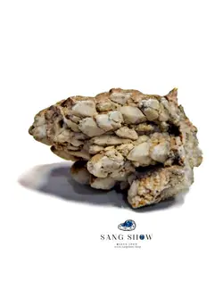 کلسیت فلاور انحصاری و استثنایی و معدنی S998 راف | سنگشو