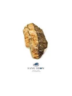 سنگ استلریت نمونه استثنایی و انحصاری و اصل و معدنی S1101 راف