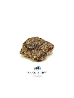 سنگ استلریت نمونه استثنایی و انحصاری و اصل و معدنی S1101 راف