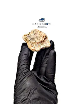 سنگ استلریت نمونه استثنایی و انحصاری و اصل و معدنی S1101 راف