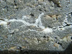 دانلود پاورپوینت بتن خود ترمیم شونده