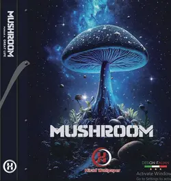 آلبوم کاغذ دیواری ماشروم MUSHROOM