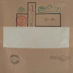 پودر موسیر همنشین مقدار 100 گرم