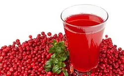 زرشک پفکی رضوان بیدخت 1000 گرمی