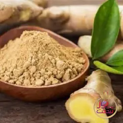 ادویه زنجبیل رضوان بیدخت 80 گرمی