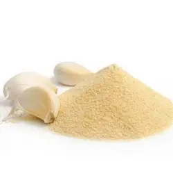 ادویه پودر سیر  رضوان بیدخت 600 گرمی