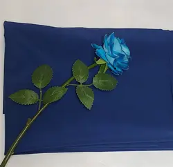 غواصی صورمه ای