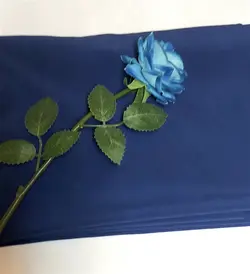 غواصی صورمه ای