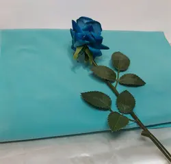 لاکراغواصی