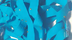 اریب کش نگیندارآبی