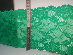 دانتل کشی سبز مجلسی