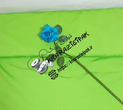 لاکراغواصی 💚💚