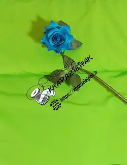 لاکراغواصی 💚💚