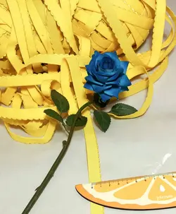 لبدالبری🟨🟨🟨